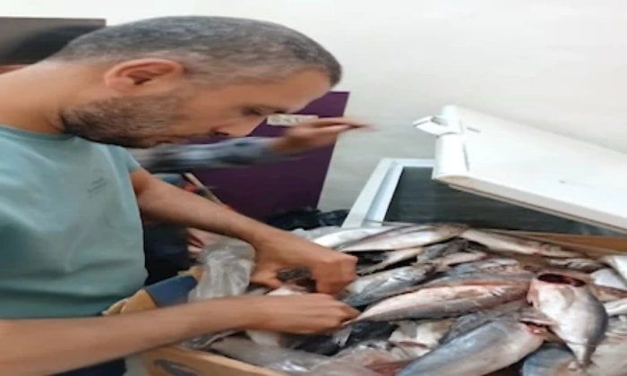 ضبط 14 طن لحوم ودواجن فاسدة في حملات بالمنوفية ضبط 14 طن لحوم ودواجن فاسدة في حملات بالمنوفية