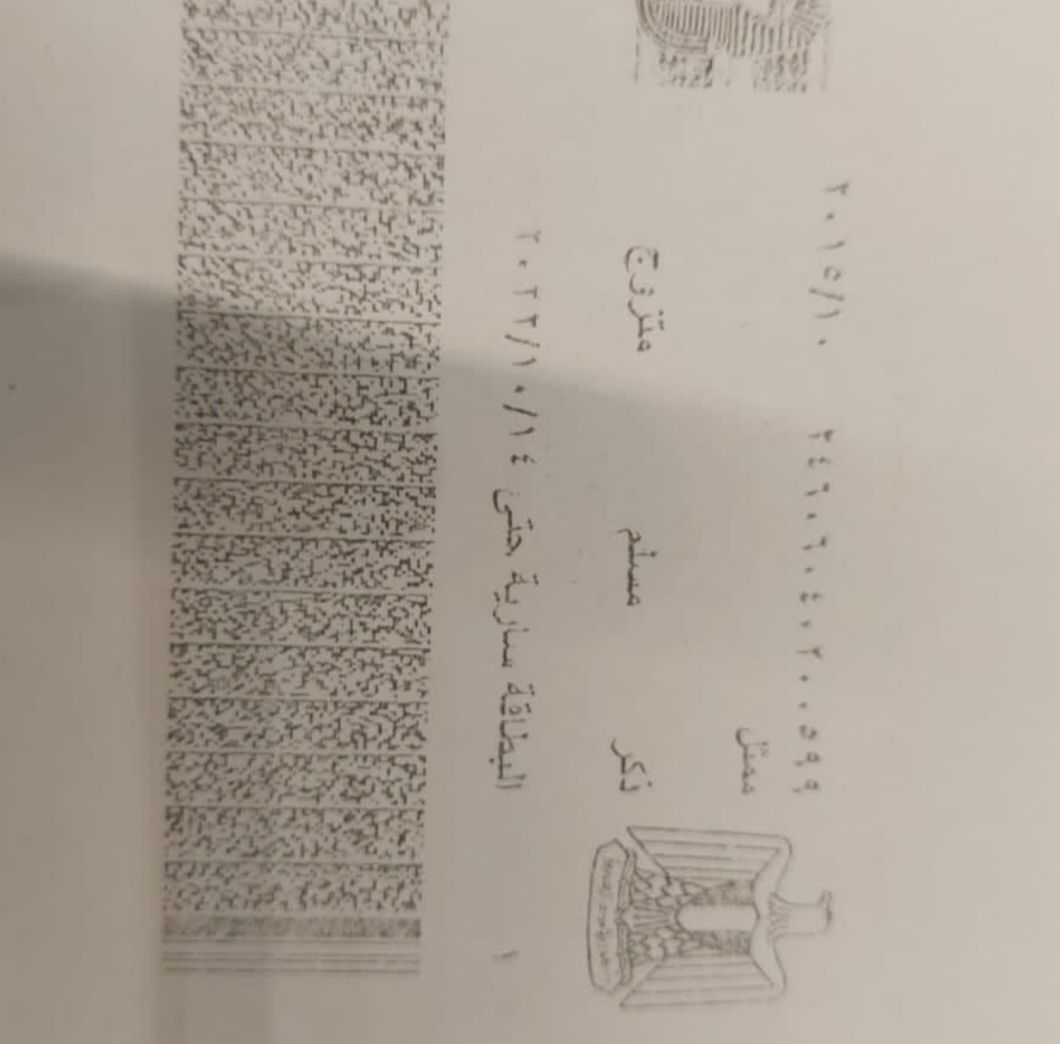 5217a8387c.jpg