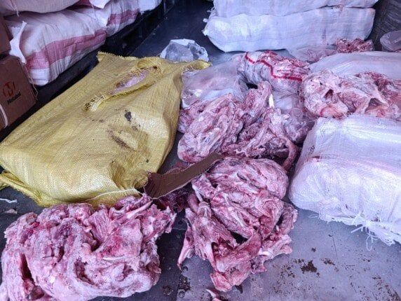 كارثة بالخانكة.. ضبط 10 أطنان هياكل دواجن مجهولة المصدر داخل مصنع لحوم كارثة بالخانكة.. ضبط 10 أطنان هياكل دواجن مجهولة المصدر داخل مصنع لحوم