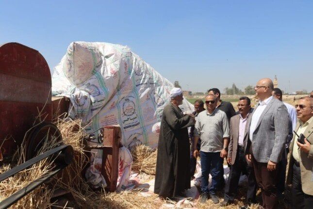توريد أكثر من 41 ألف و365 طن قمح للشون والصوامع بالقليوبية توريد أكثر من 41 ألف و365 طن قمح للشون والصوامع بالقليوبية
