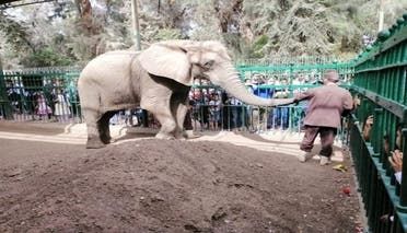 من حديقة الحيوان بالجيزة