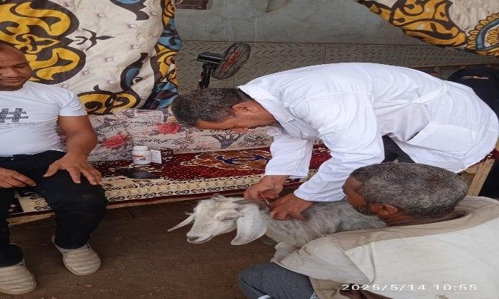 مستقبل وطن ينظم قافلة بيطرية بمركز الوقف لخدمة المزارعين والمربين مستقبل وطن ينظم قافلة بيطرية بمركز الوقف لخدمة المزارعين والمربين