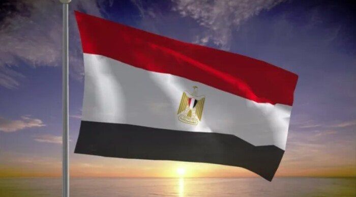 مصر تدين استمرار انتهاكات الاحتلال الإسرائيلي ضد المدنيين الفلسطينيين مصر تدين استمرار انتهاكات الاحتلال الإسرائيلي ضد المدنيين الفلسطينيين
