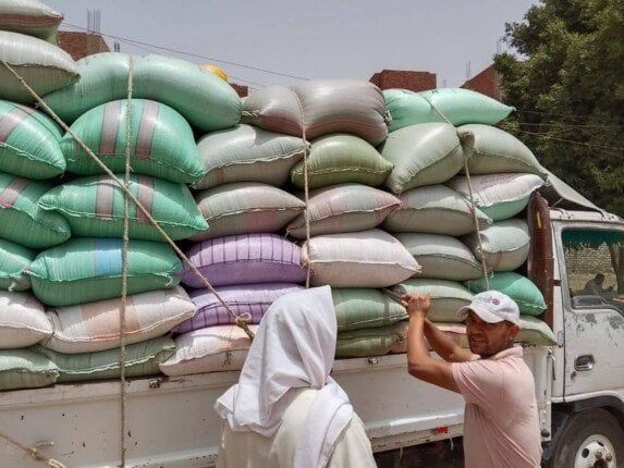 «حصاد الخير».. توريد 344 ألف طن من القمح بشون وصوامع المنيا «حصاد الخير».. توريد 344 ألف طن من القمح بشون وصوامع المنيا