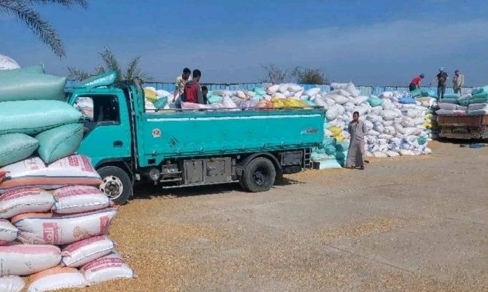 صوامع الشرقية تستقبل 561 ألف طن من محصول القمح: إنجاز في التوريد المحلي صوامع الشرقية تستقبل 561 ألف طن من محصول القمح: إنجاز في التوريد المحلي