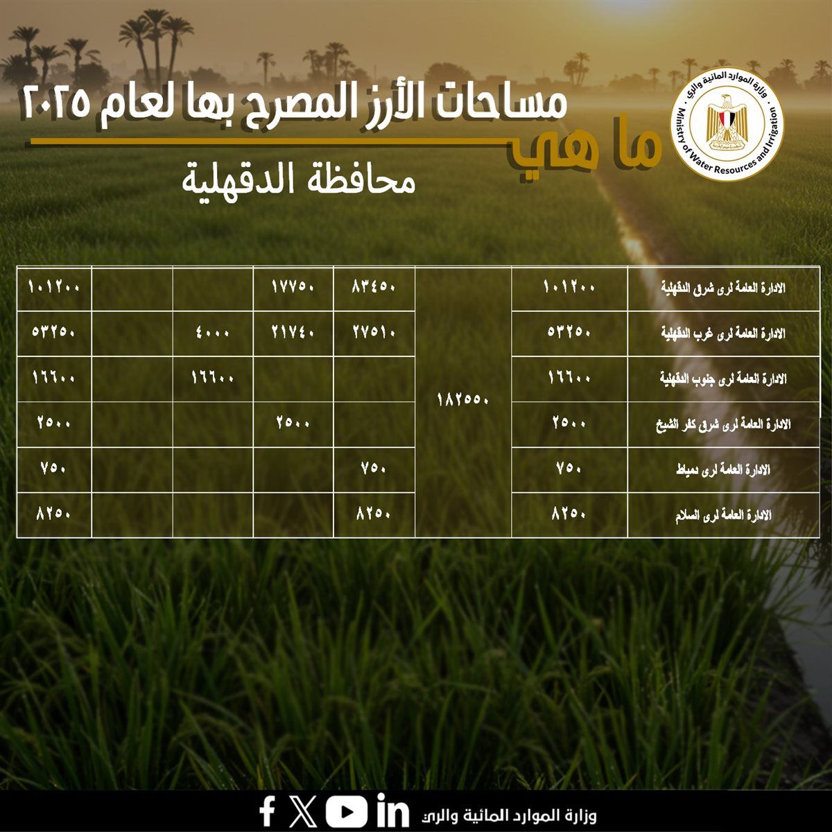 مساحات الأراضي المخصصة لزراعة محصول الأرز فى محافظة الدقهلية