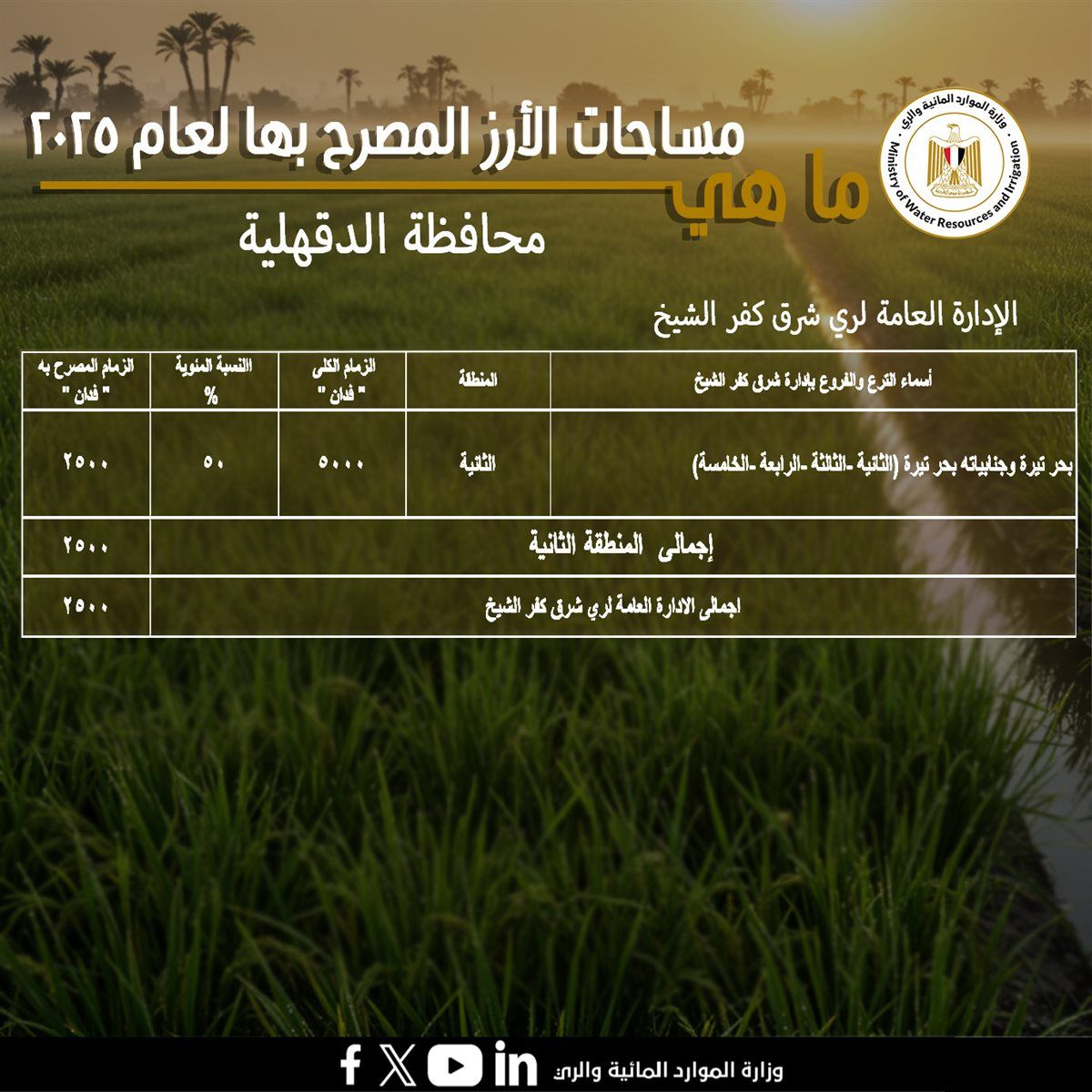 مساحات الأراضي المخصصة لزراعة محصول الأرز فى محافظة الدقهلية