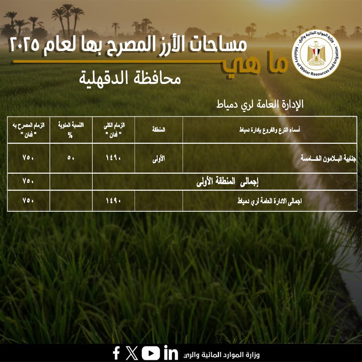 مساحات الأراضي المخصصة لزراعة محصول الأرز فى محافظة الدقهلية