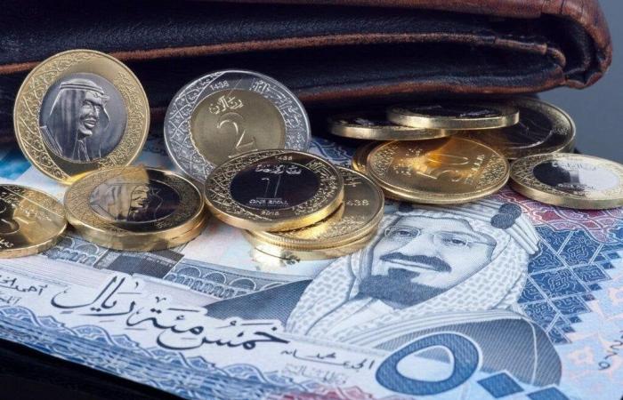 سعر الريال السعودي في مصر اليوم.. الخميس 12 ديسمبر 2024 - خليج نيوز