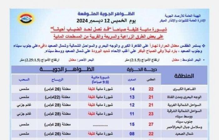 بارد ليلا.. حالة الطقس المتوقعة اليوم الخميس 12 ديسمبر 2024 - خليج نيوز