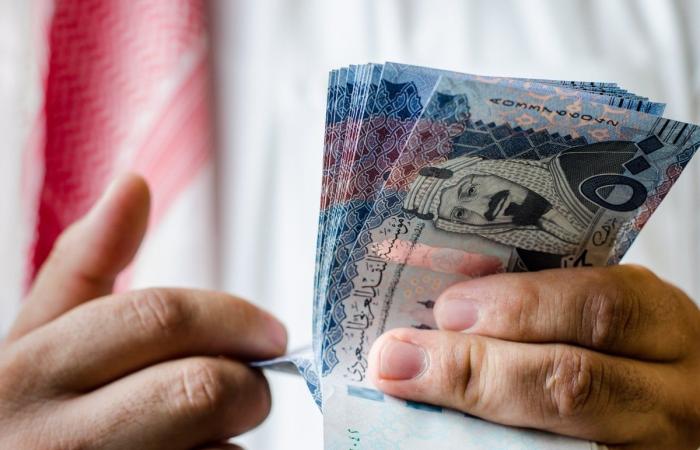 سعر الريال السعودي في مصر اليوم.. الخميس 12 ديسمبر 2024 - خليج نيوز