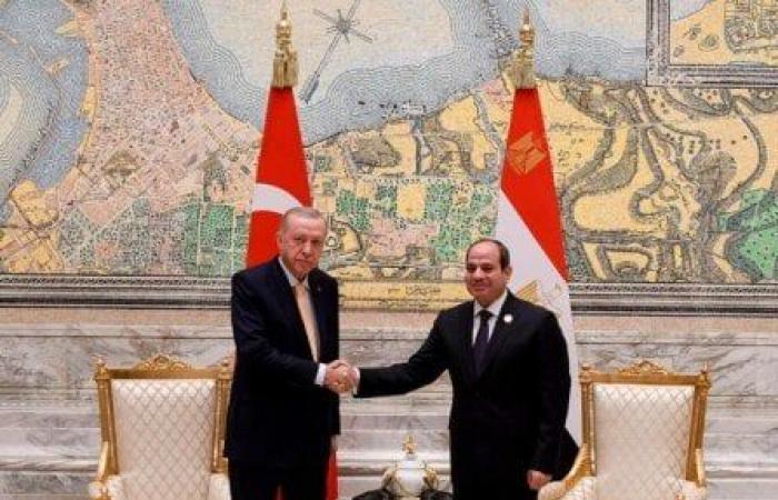 الرئيسان السيسي وأردوغان يؤكدان ضرورة مواصلة تعزيز التعاون الثنائي بين البلدين في كافة المجالات - خليج نيوز