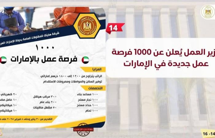 فيديو وإنفوجراف.. حصاد وزارة العمل خلال أسبوع - خليج نيوز