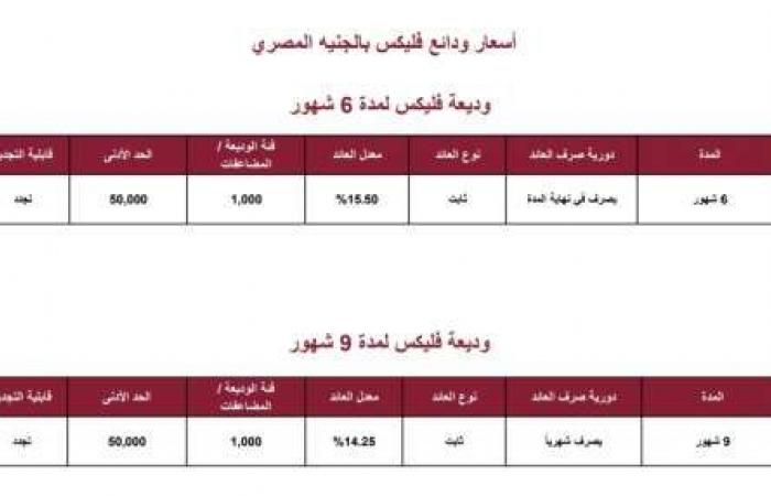 بنك مصر يعلن تخفيض سعر الفائدة على ودائع فليكس - خليج نيوز