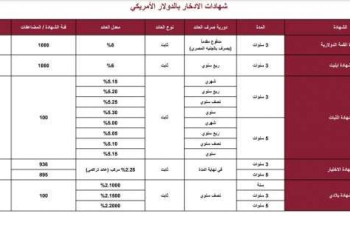 بنك مصر يعلن تخفيض سعر الفائدة على ودائع فليكس - خليج نيوز