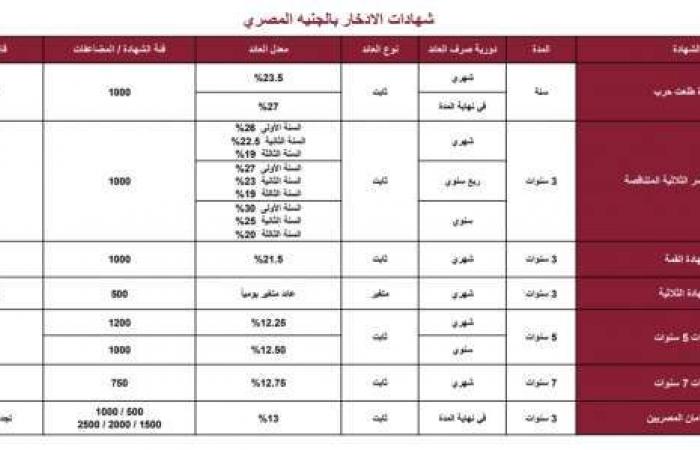 بنك مصر يعلن تخفيض سعر الفائدة على ودائع فليكس - خليج نيوز