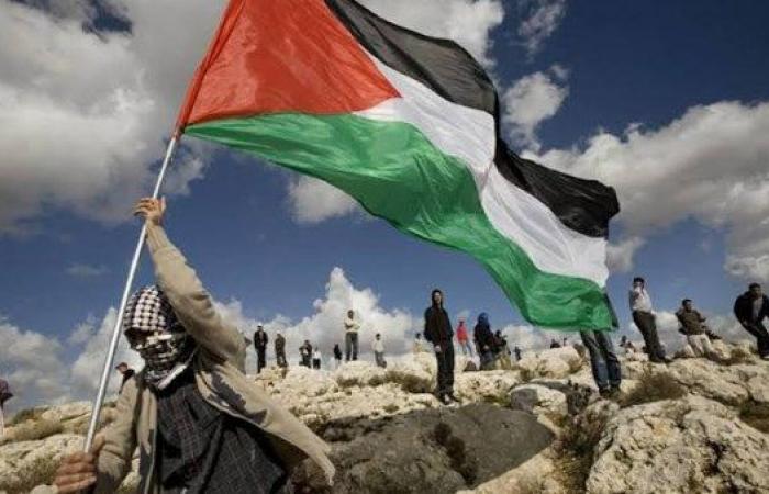 أستاذ علوم سياسية: مصر مساندة وداعمة للشعب الفلسطيني وقضيته على مر العصور - خليج نيوز