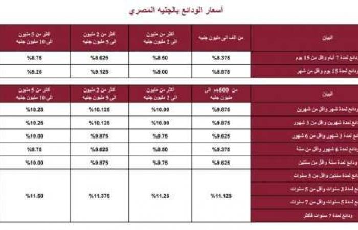 بنك مصر يعلن تخفيض سعر الفائدة على ودائع فليكس - خليج نيوز