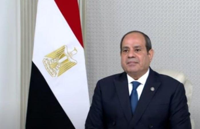 الرئيس السيسي: مصر تفخر أنها من الدول المؤسسة للجنة النيباد فى مرحلة دقيقة - خليج نيوز