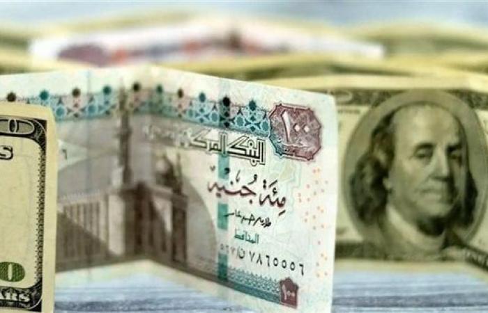 سعر الدولار اليوم الثلاثاء 11-2-2025 فى البنوك خليج نيوز