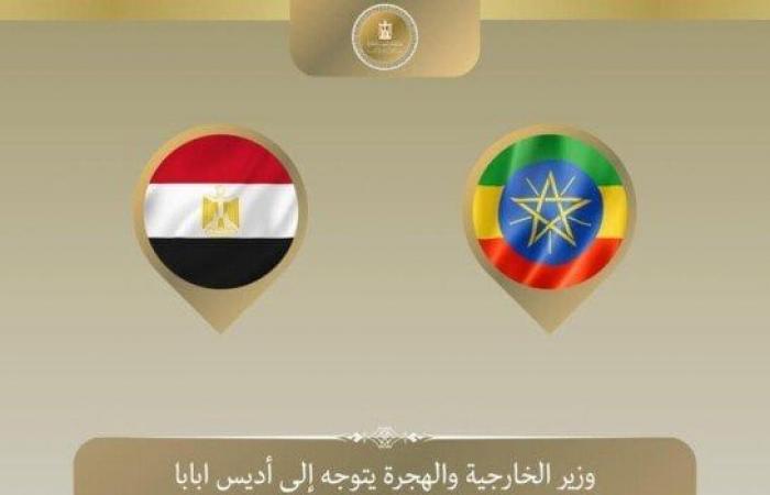 وزير الخارجية يتوجه لـ أديس أبابا لترأس وفد مصر باجتماعات المجلس التنفيذي للاتحاد الأفريقي - خليج نيوز