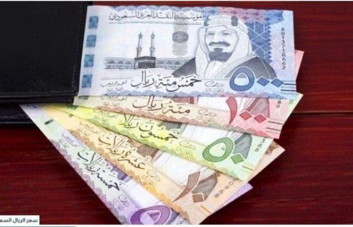 سعر الريال السعودى في مصر اليوم.. الأربعاء 12-2-2025 - خليج نيوز