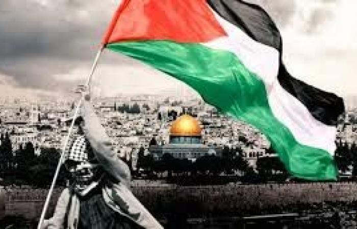 عمرو خليل: فلسطين باقية..وحقوق شعبها محفوظة تاريخيا وإنسانيا - خليج نيوز