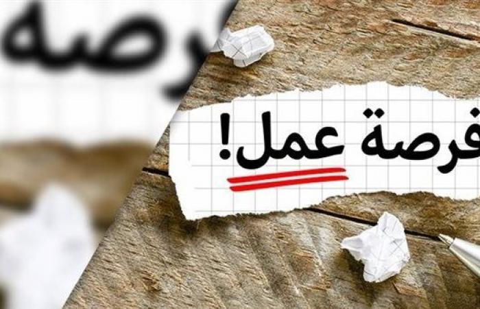 وزارة العمل توفر 14 فرصة عمل في لبنان برواتب تصل إلى 750 دولارًا خليج نيوز