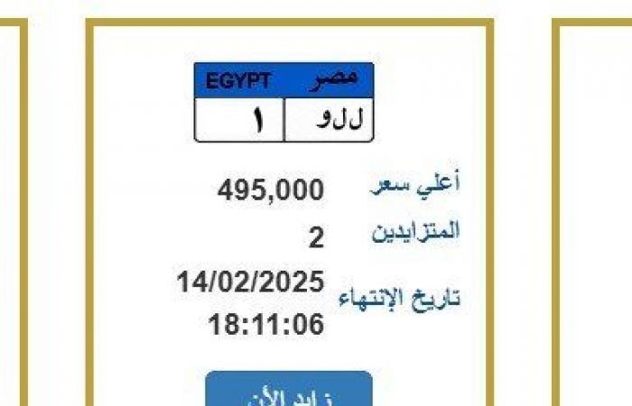 لوحة معدنية مميزة وصل سعرها 495 ألف جنيه.. آخر موعد لانتهاء المزايدة - خليج نيوز