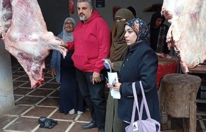 ضبط 2 طن لحوم ودواجن غير صالحة للاستهلاك بالدقهلية - خليج نيوز