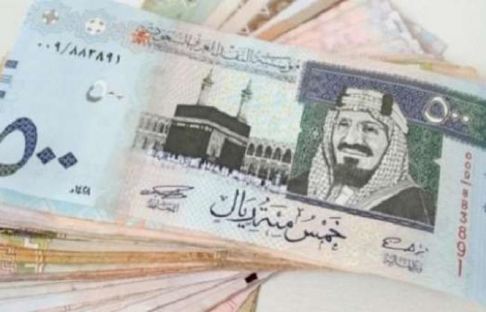 سعر الريال السعودي اليوم الجمعة 14-2-2025 في البنوك المصرية - خليج نيوز