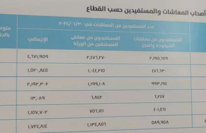 بالأرقام.. «التأمينات» تكشف عدد المستفيدين من المعاشات خلال 2024 - خليج نيوز