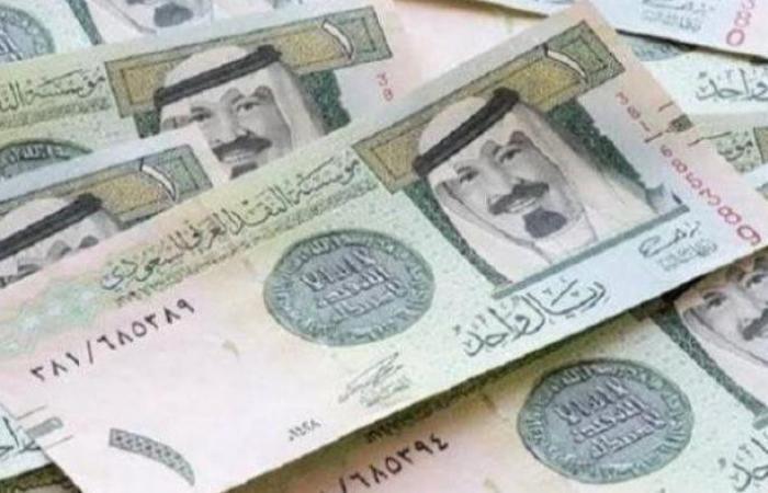 سعر الريال السعودي أمام الجنيه اليوم الإثنين - خليج نيوز