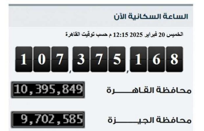 «الإحصاء»: 95 ألف نسمة زيادة في عدد سكان مصر خلال 30 يوما