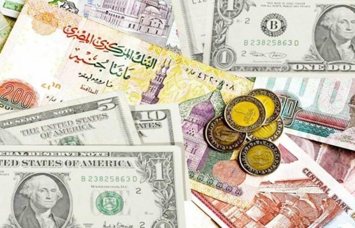 بعد تحديد البنك المركزي المصري سعر الفائدة.. أسعار العملات اليوم الجمعة - خليج نيوز