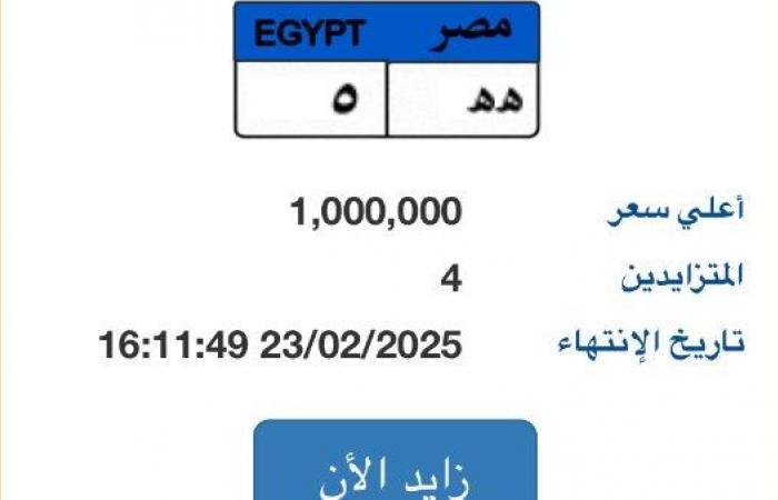 المزايدة مشتعلة.. لوحة سيارة يصل سعرها لمليون جنيه - خليج نيوز