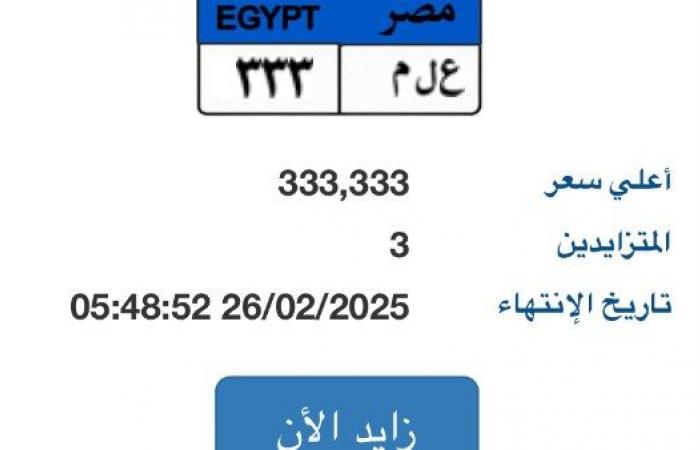 في مزاد إلكتروني.. لوحة سيارة تحمل أحرف علم يصل سعرها لـ 333 ألف جنيه - خليج نيوز