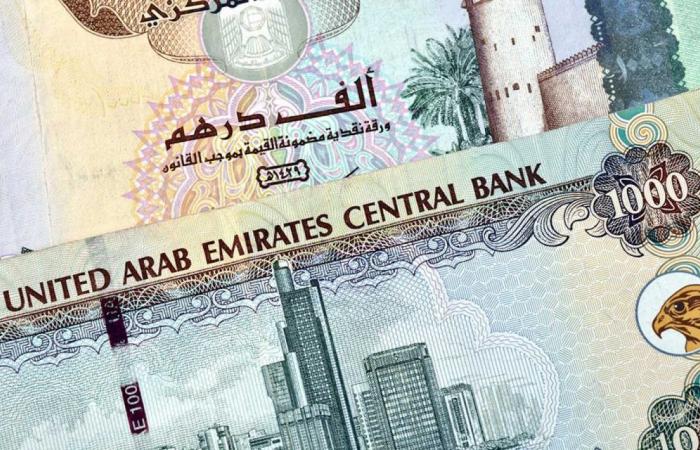 سعر الدرهم الإماراتي اليوم الثلاثاء 25 فبراير 2025 - خليج نيوز