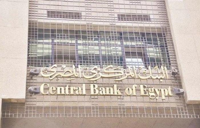 فيتش تكشف: البنك المركزي قد يخفض الفائدة 1-2% في هذا التوقيت - خليج نيوز