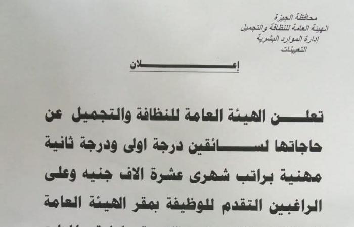 براتب 10 آلاف جنيه..محافظة الجيزة توفر فرص عمل مجزية.. اعرف الشروط - خليج نيوز