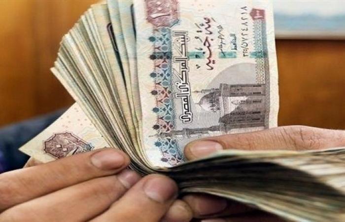 250 جنيًها على بطاقة التموين.. التجار يواجهون الحبس وغرامة 100 ألف جنيه حال قيامهم بهذا الفعل - خليج نيوز