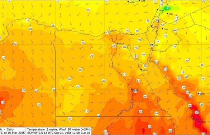حالة الطقس في مصر اليوم 2 مارس 2025 ودرجات الحرارة بالمحافظات - خليج نيوز
