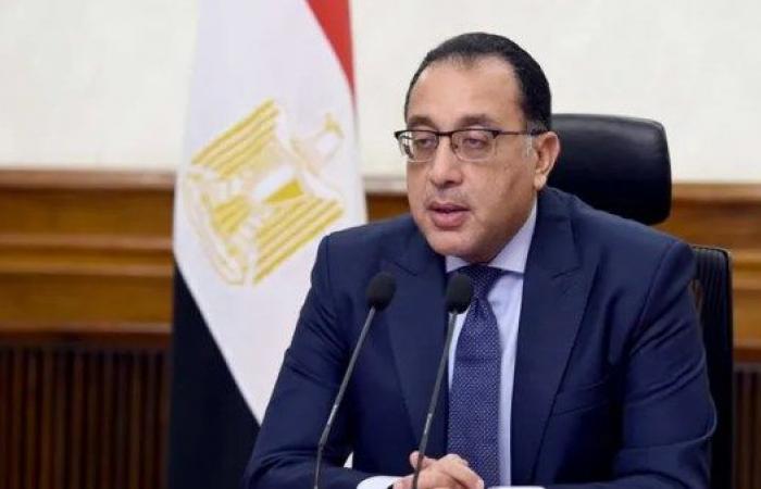 4.84 مليار جنيه.. الحكومة تحاصر عمليات التهريب وإغراق الأسواق بإجراءات جديدة - خليج نيوز