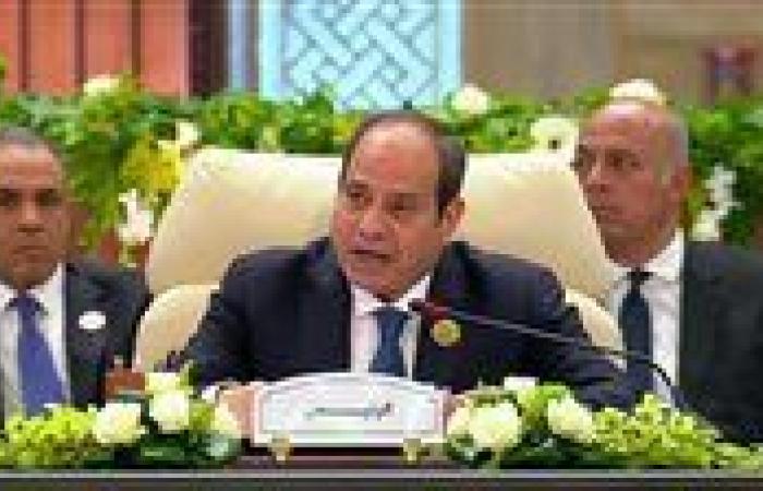 السيسي: مصر ملتزمة بالسلام العادل واحترام سيادة الدول