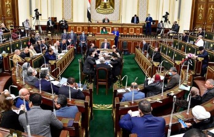 برلماني: مصر تواصل جهودها لإنقاذ اتفاق وقف إطلاق النار في غزة وضمان تدفق المساعدات - خليج نيوز