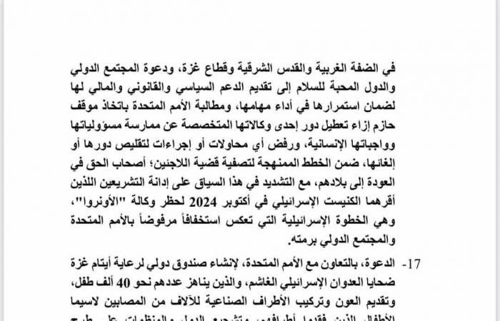 الرئيس السيسي يعلن اعتماد البيان الختامى للقمة العربية وخطة مصر لإعمار غزة - خليج نيوز