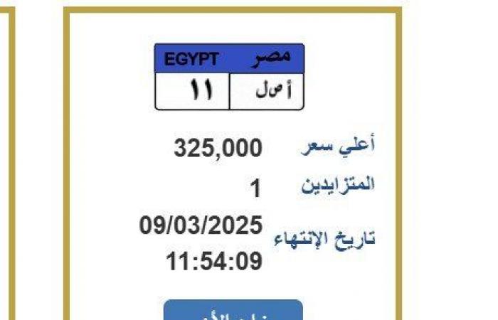 وصلت لـ 325 ألف جنيه.. لوحة معدنية مميزة يشتعل التزايد عليها - خليج نيوز