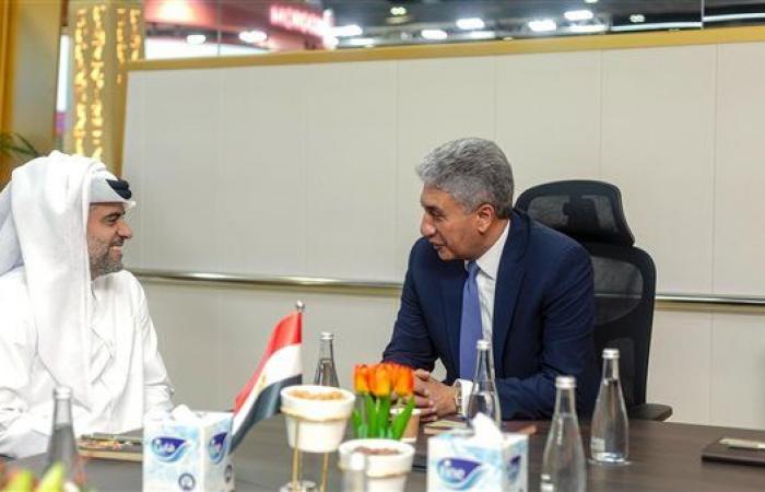 شركات الطيران توسع شبكة رحلاتها للمدن السياحية بمصر خليج نيوز