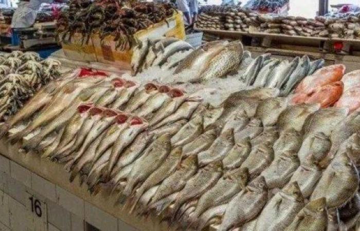أسعار الأسماك والجمبري اليوم السبت 3 مايو 2025 - خليج نيوز