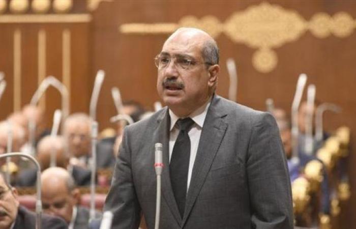 رئيس برلمانية "الشعب الجمهورى": مصر نجحت فى مواجهة الجماعات الإرهابية خليج نيوز